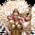 Tina Benjamin's profile image