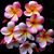 Deborah Atkins's profile image