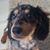Joy Towe Leimbach's profile image