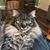 Gwen Shafer Cole's profile image