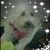 Sherri Palmese's profile image