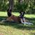 Jacqueline Marie Cocilovo's profile image