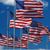 Cynthia Mulcare's profile image