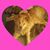 Denise Denton's profile image