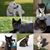 Joyce Poirier's profile image