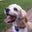 Josie Harris's profile image