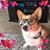 Christina Hurtado's profile image