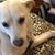 Kristine Gravell's profile image