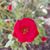 Joel Wilson's profile image
