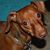Judy Crider Butler's profile image