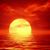 Sergi R. Heideman's profile image