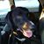 Angela Bosworth-Cowman's profile image