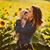 Ashlee Long's profile image