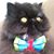 Hannah Rodrigues's profile image