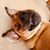 Michelle Washam Hernandez's profile image