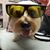 Tim Edward's profile image