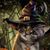Leslie Browne's profile image