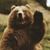 John M. Tanner's profile image