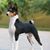 Lonnie Sue Brubaker's profile image