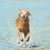 Ellen Rice's profile image