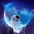 Nadine McGunigale's profile image