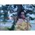 Krystin Alexandrea's profile image