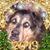 Monica Louise Swayze's profile image