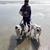Caroline Erfe Tickle's profile image