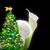 Lynn Klug's profile image