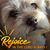Pam Robertson Watson's profile image