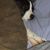 Angel Evans's profile image