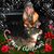 CristynJustin Whitehead's profile image