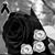 Taniaa Rojas's profile image