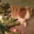 Elaine Naylor's profile image