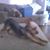 Matthew Wickline's profile image