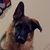 Larry Loane's profile image