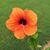 Deb Parker's profile image