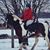 Amy Welker's profile image