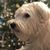 Claire Roberts's profile image