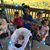 Shannon Phillips McKay's profile image
