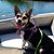 Amy Howard Latham's profile image