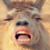 Heather Lince's profile image