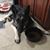 Patricia Jardine's profile image
