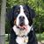 Scott Shumway's profile image