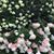 JoAnn Curtiss Spaulding's profile image