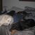 Alison Johnson-Shoemaker's profile image