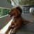 Sarah Brown's profile image