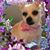 Kathy O'Neil Riffle's profile image