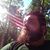 Nicholas Murphy's profile image