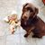 Linda Lou Parks's profile image